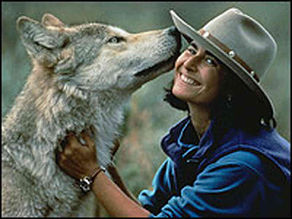 A Wolf's Kiss A Wolf's Kiss