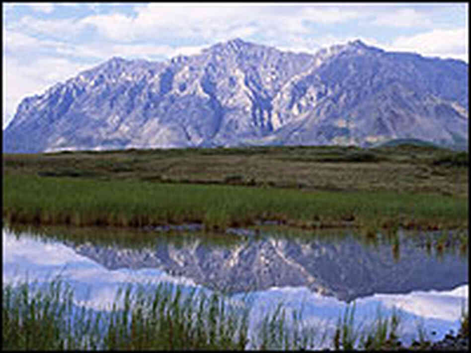 Inside the Arctic National Wildlife Refuge Inside the Arctic National Wildlife Refuge