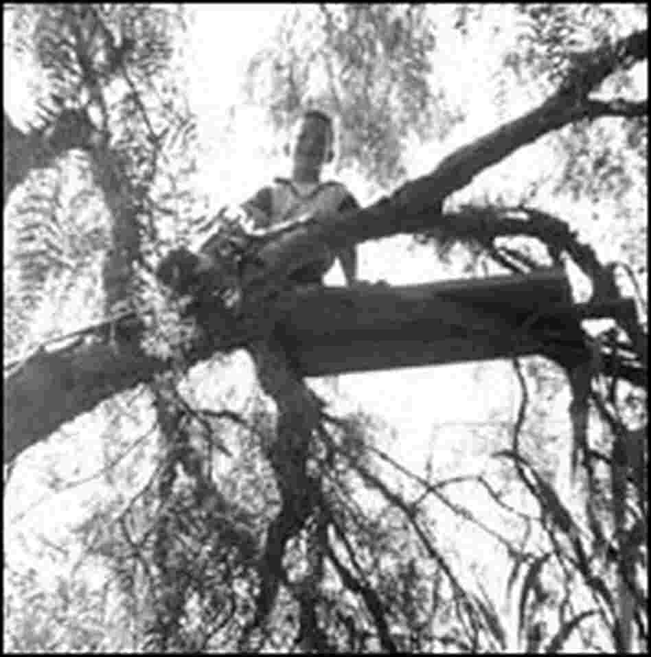 Howard Dully, tree climbing in Los Altos, Calif., 1955. Howard Dully, tree climbing in Los Altos, Calif., 1955.