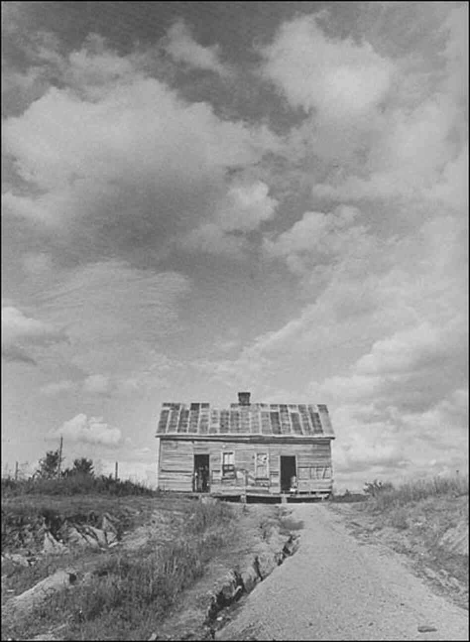 Tarpaper Shack Tarpaper Shack