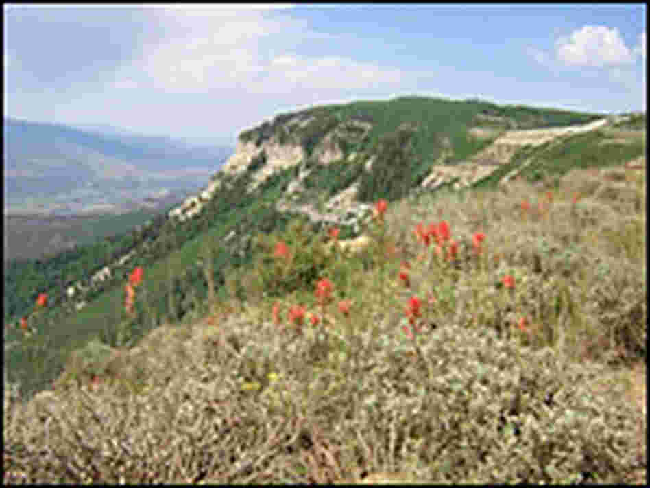The land is lusher on top of the plateau. 