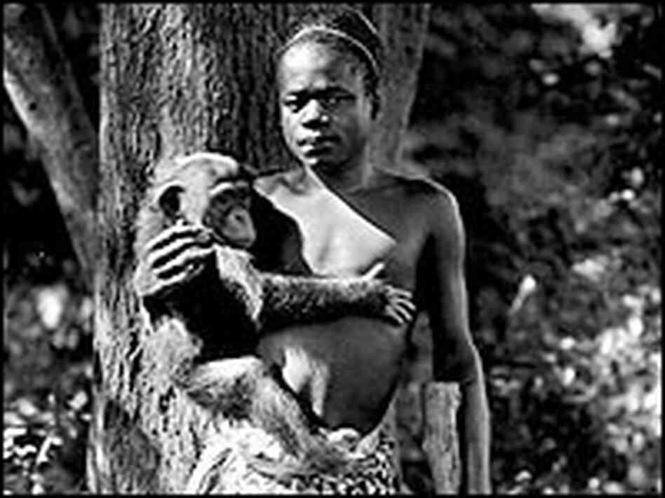 On Sept. 8, 1906, the Bronx Zoo unveiled a new exhibit: Ota Benga, a Congolese pygmy.