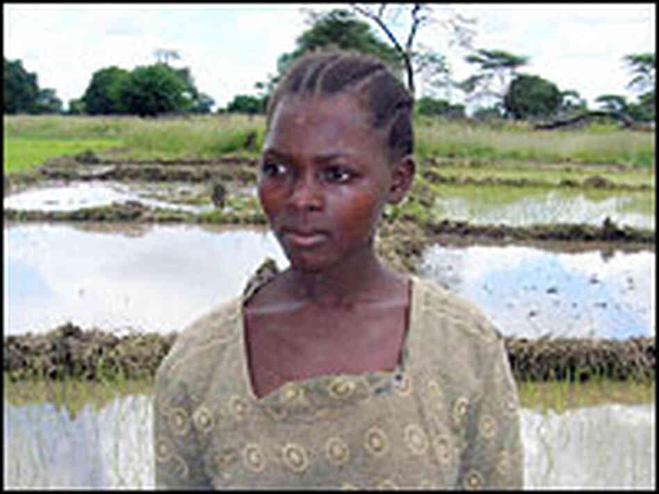 A rice farmer in Tanzania