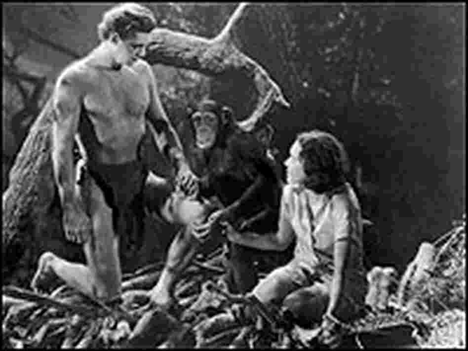 Cheeta on screen with Johnny Weismuller and Maureen O'Sullivan