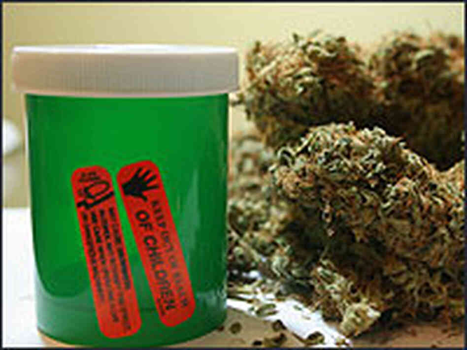 Mountain Mist, a medical marijuana developed from a northern California strain Mountain Mist, a medical marijuana developed from a northern California strain