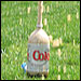 A Mentos and Coke explosion. Credit: Andrea Seabrook