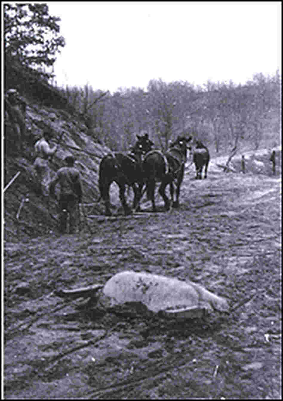 Building the lake road in Covert, Mich., circa 1900.