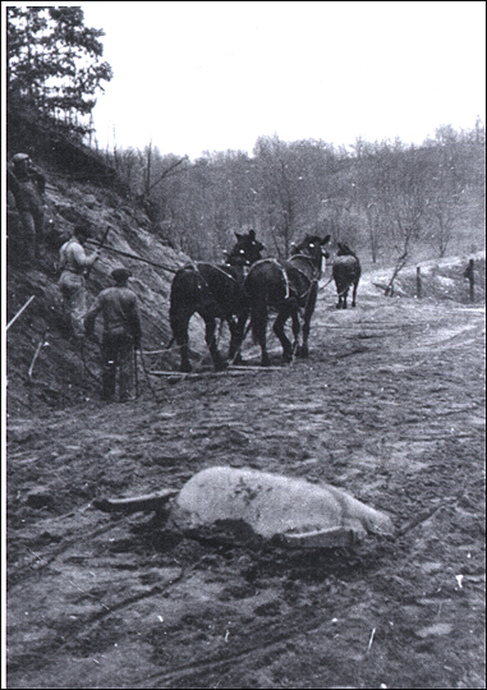 Building the lake road in Covert, Mich., circa 1900.