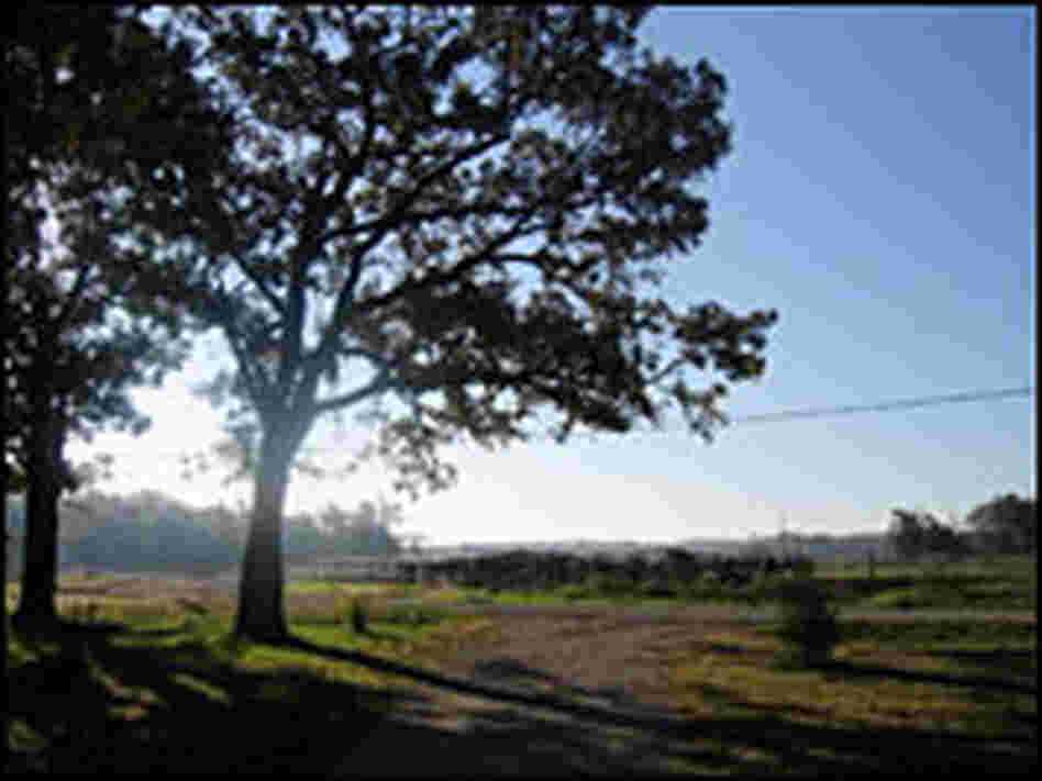 A view of the Grand Valley farm