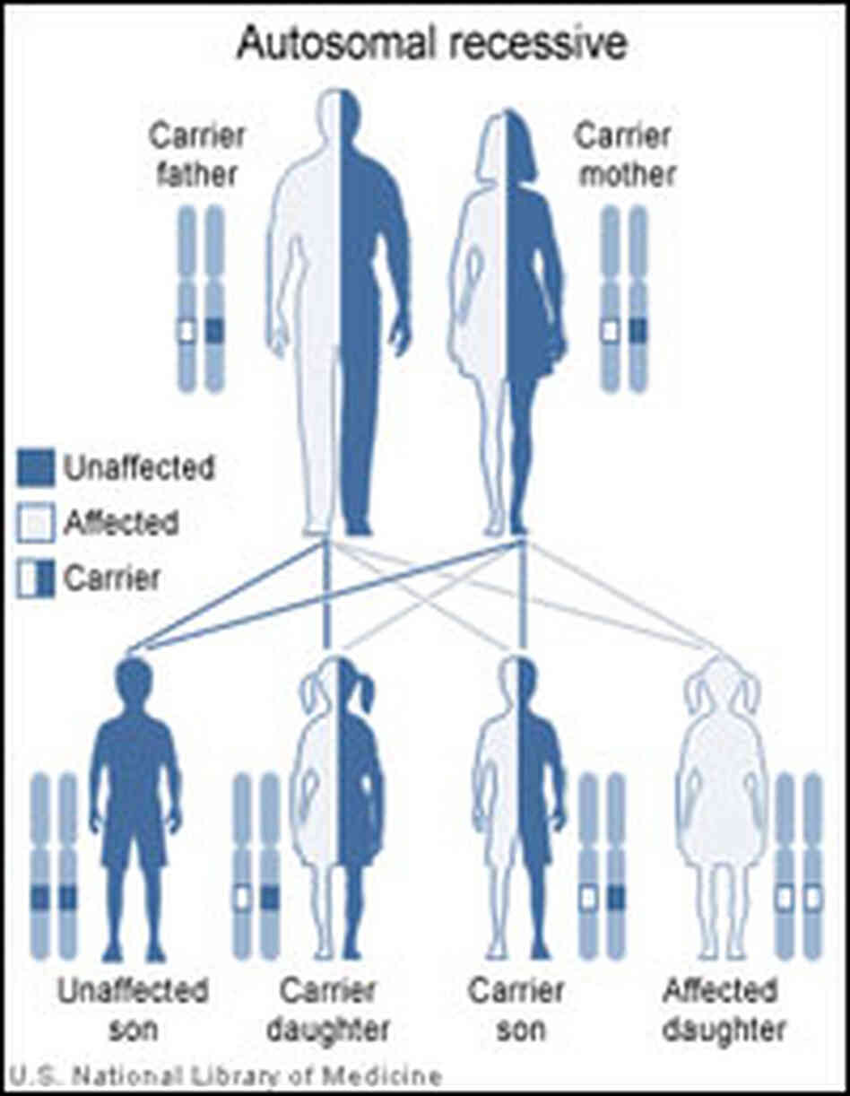 Autosomal Recessive Autosomal Recessive