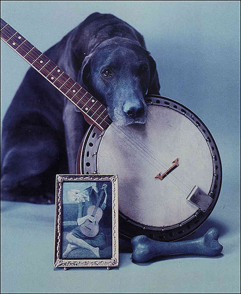 Photographer William Wegman with his distinctive take on the banjo. Photographer William Wegman with his distinctive take on the banjo.