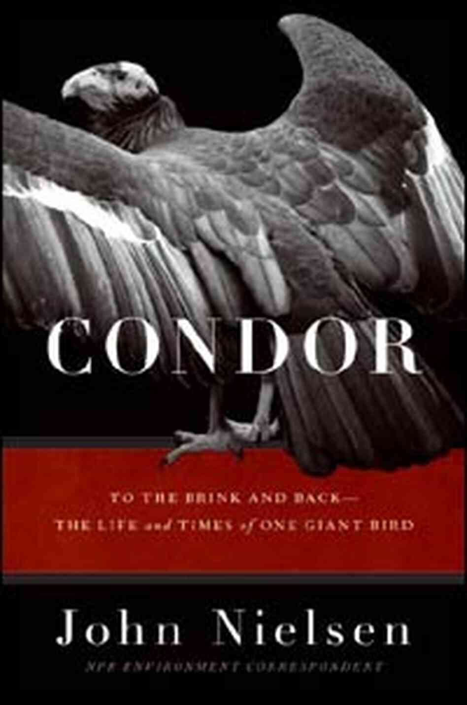 'Condor: To the Brink and Back -- The Life and Times of One Giant Bird' 'Condor: To the Brink and Back -- The Life and Times of One Giant Bird'