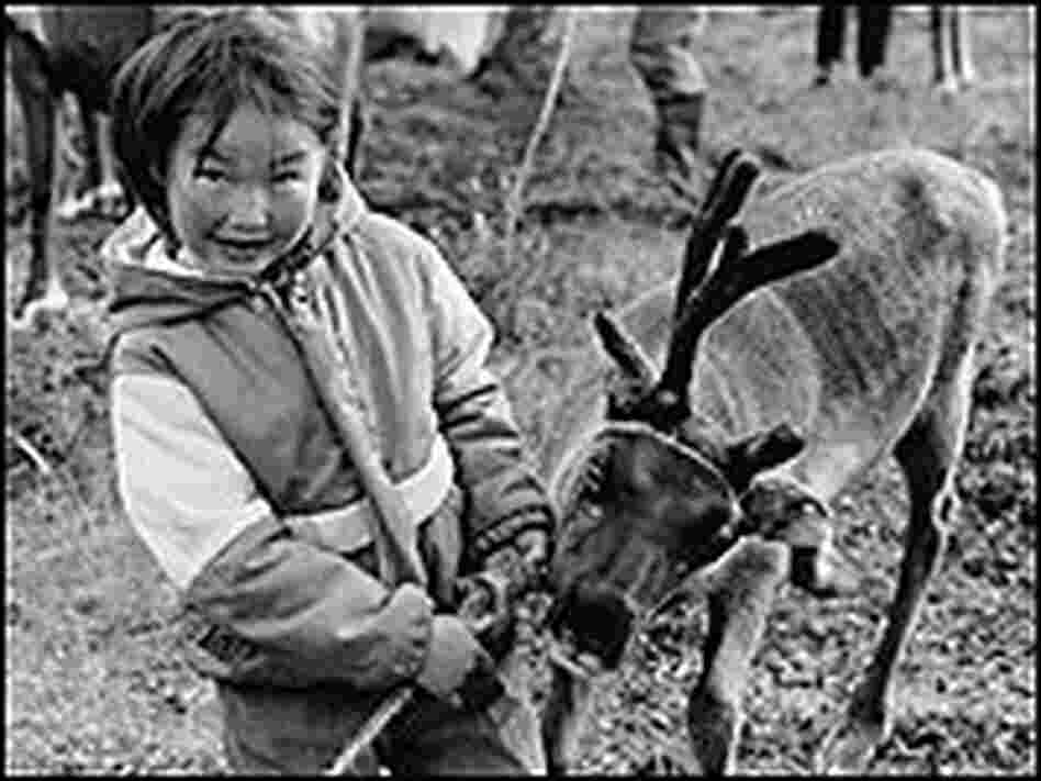 A young girl with a young reindeer.