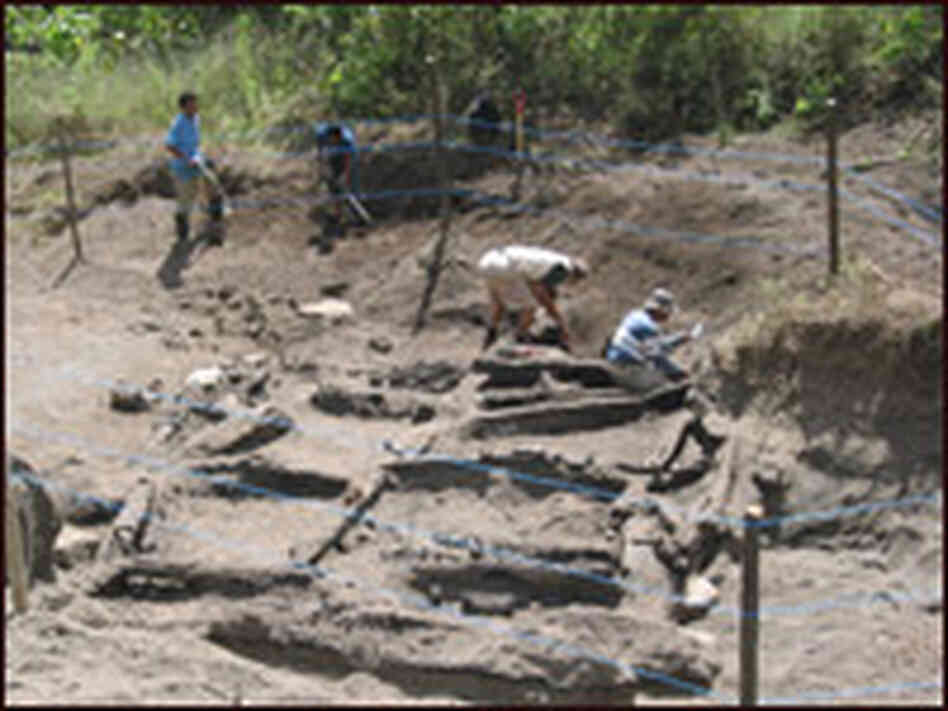 excavation site