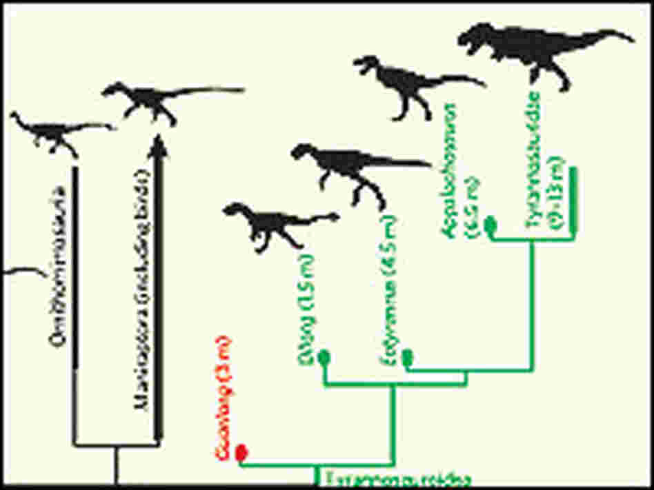 T. rex 's family history.