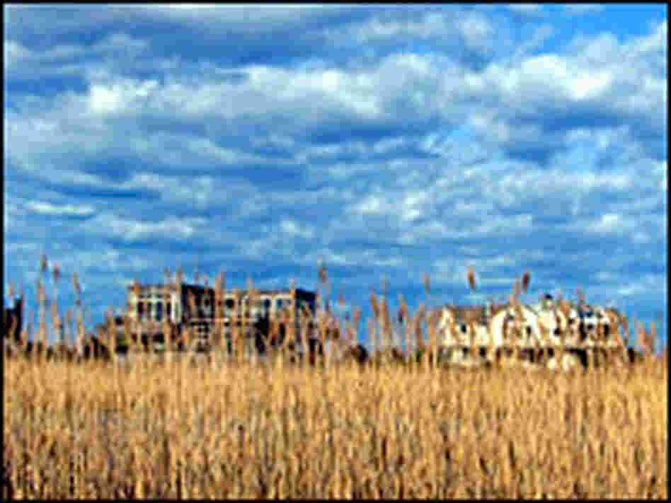 A view of farmland in the Hamptons. 