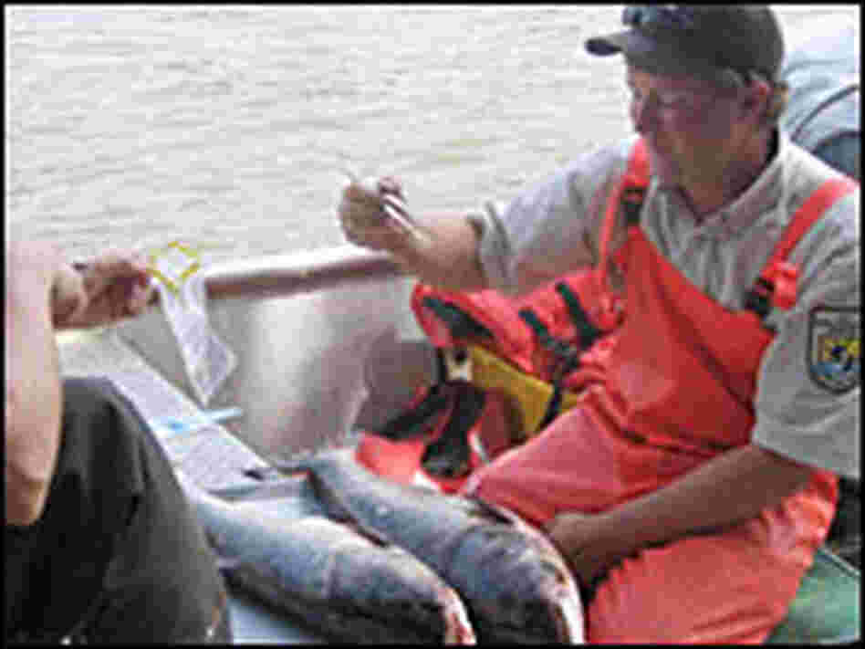 Taking a sample Taking a sample