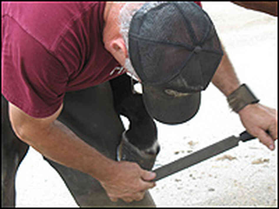 Blacksmith