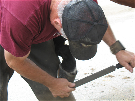 Blacksmith