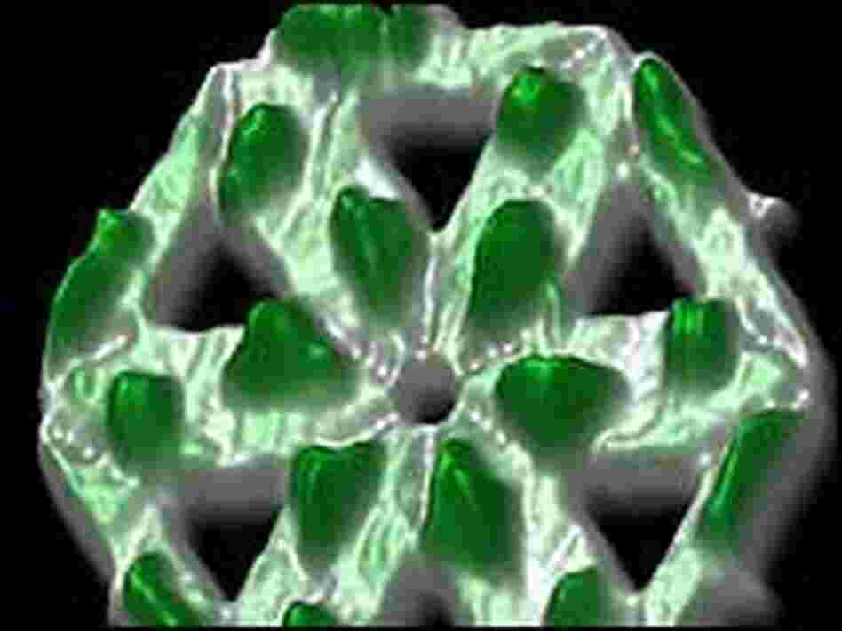 Hexagon structure  