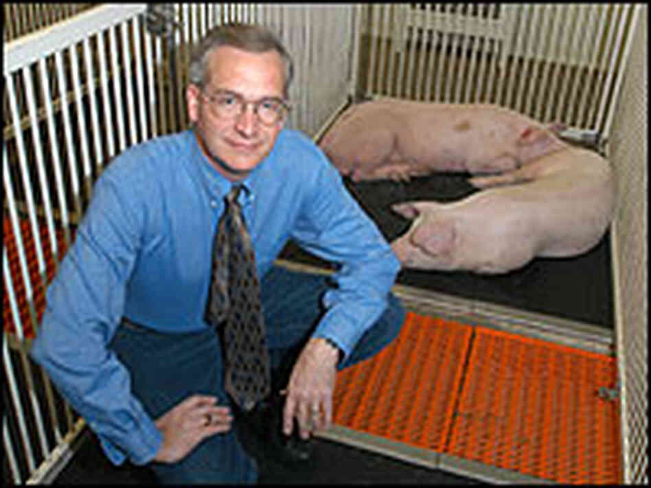 Randy Prather Randy Prather