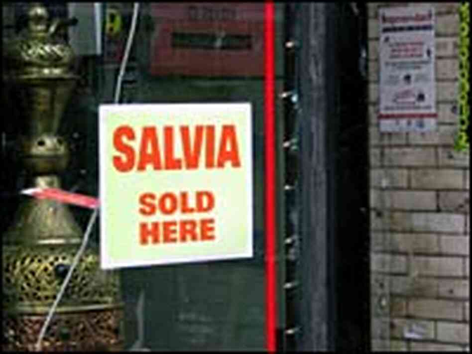 A head shop on Chicago's North Side advertises that it sells the hallucinogenic herb Salvia A head shop on Chicago's North Side advertises that it sells the hallucinogenic herb Salvia
