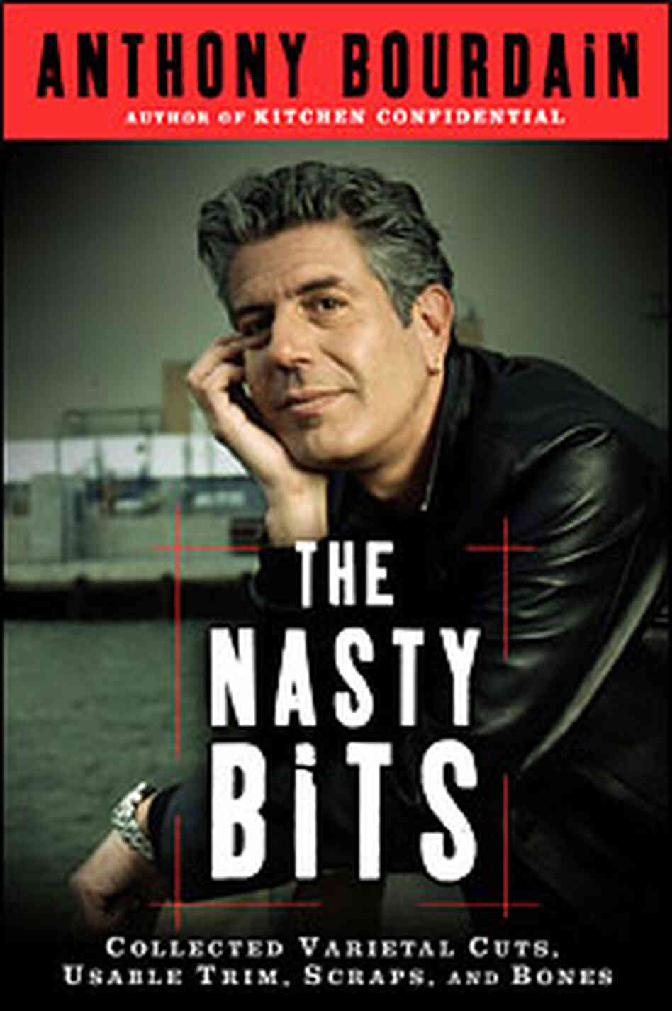 Cover of 'The Nasty Bits' Cover of 'The Nasty Bits'