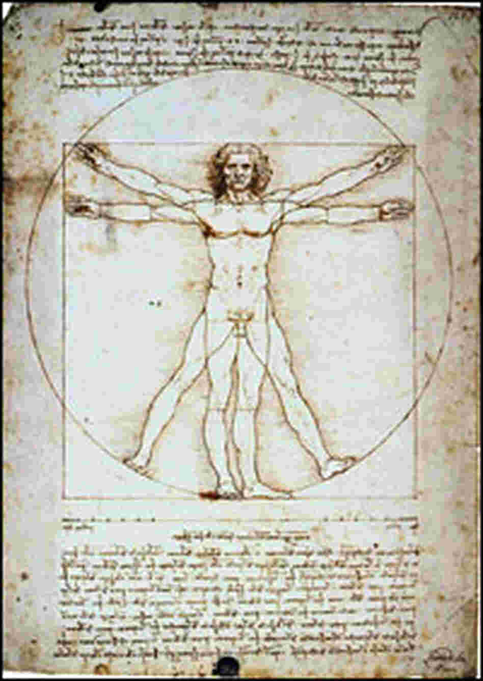 The Vitruvian Man The Vitruvian Man