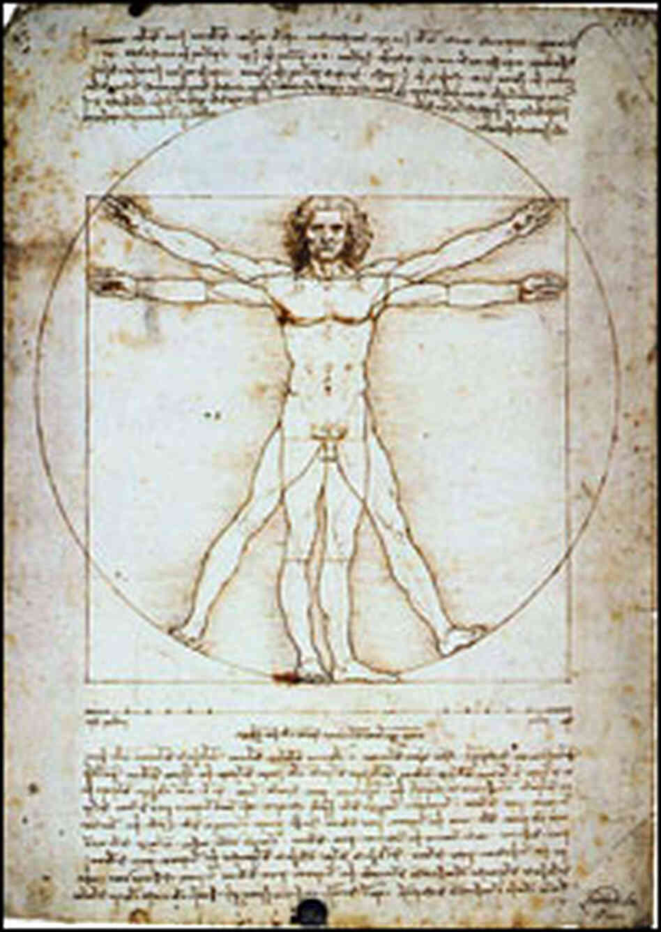 The Vitruvian Man The Vitruvian Man