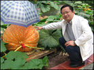 Sun Haiyan poses with a 20-pound pumpkin grown in Huaxi's high-tech agricultural zone. Sun Haiyan poses with a 20-pound pumpkin grown in Huaxi's high-tech agricultural zone.