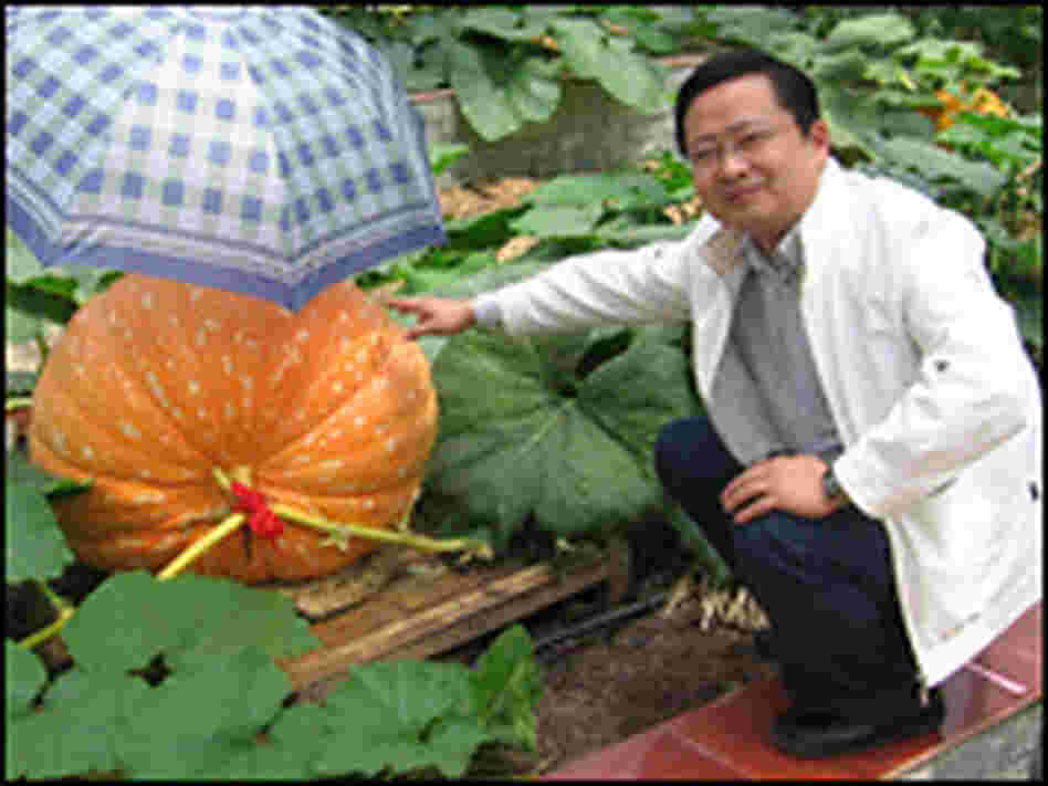 Sun Haiyan poses with a 20-pound pumpkin grown in Huaxi's high-tech agricultural zone.