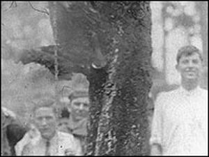 Jesse Washington was pulled up City Hall's hanging tree and then burned. 