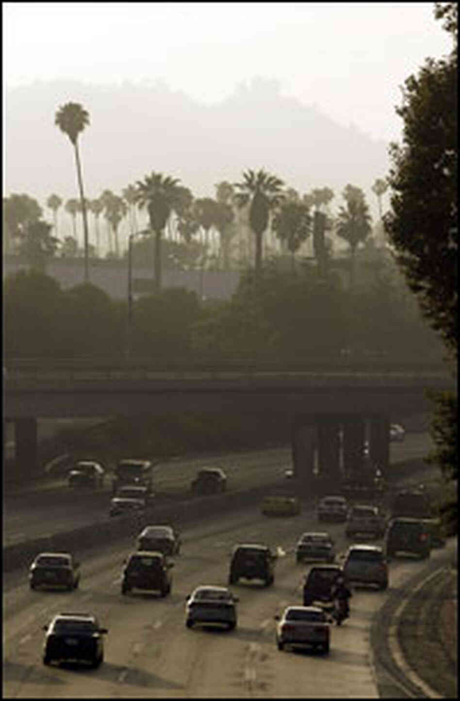 California is suing automakers of causing a public nuisance by contributing to climate change. California is suing automakers of causing a public nuisance by contributing to climate change.