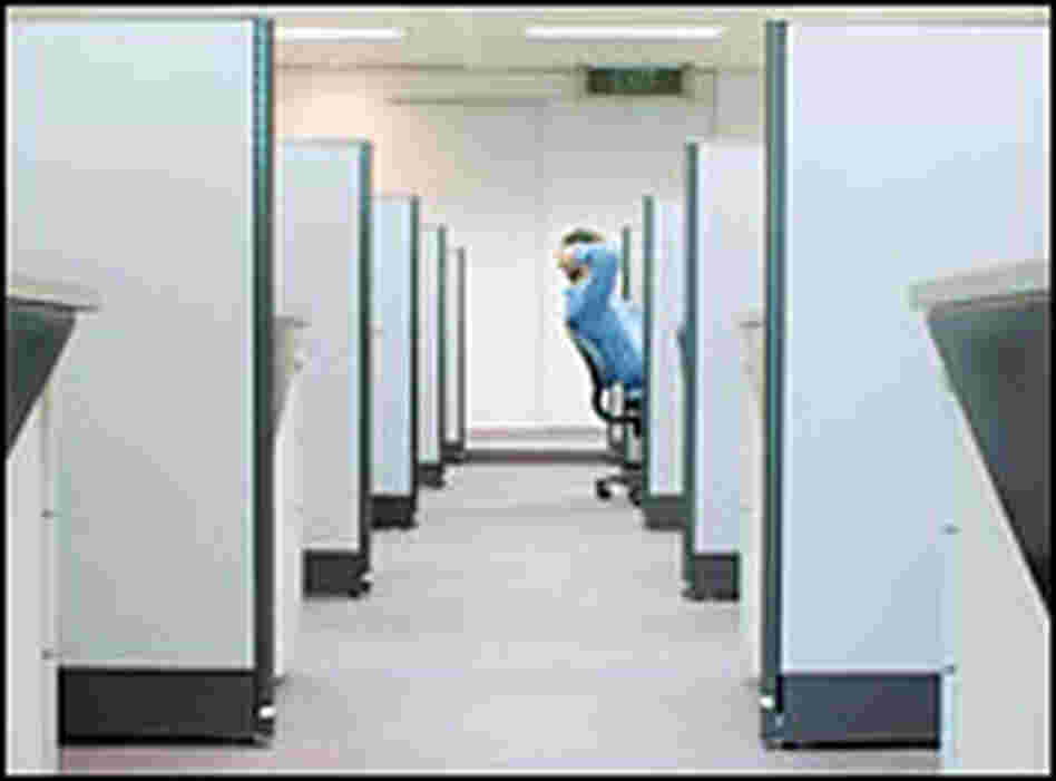 Cubicle Cubicle