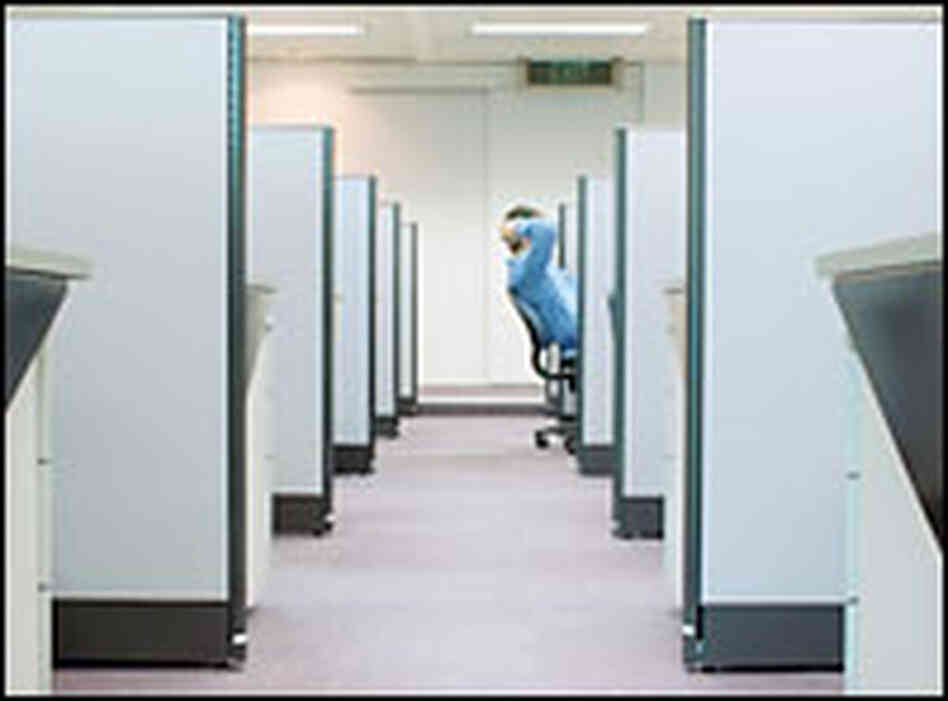 Cubicle Cubicle