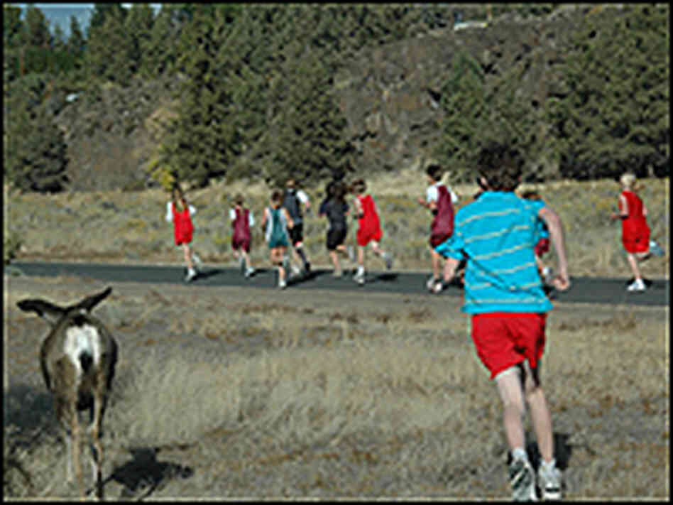 Kevin Cox and his four-legged competition, a deer, run in an Oregon field. Kevin Cox and his four-legged competition, a deer, run in an Oregon field.