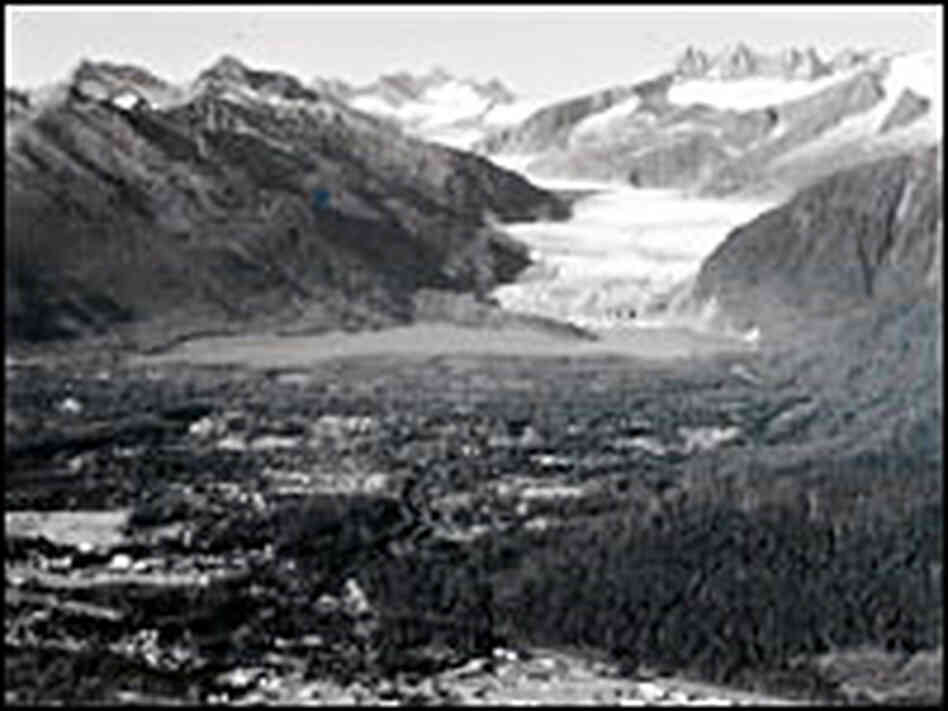 Arnold's photograph, taken in 2006, shows a smaller, thinner Mendenhall.