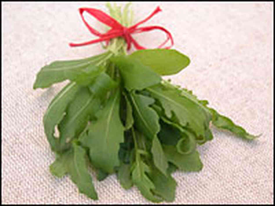 Arugula Arugula