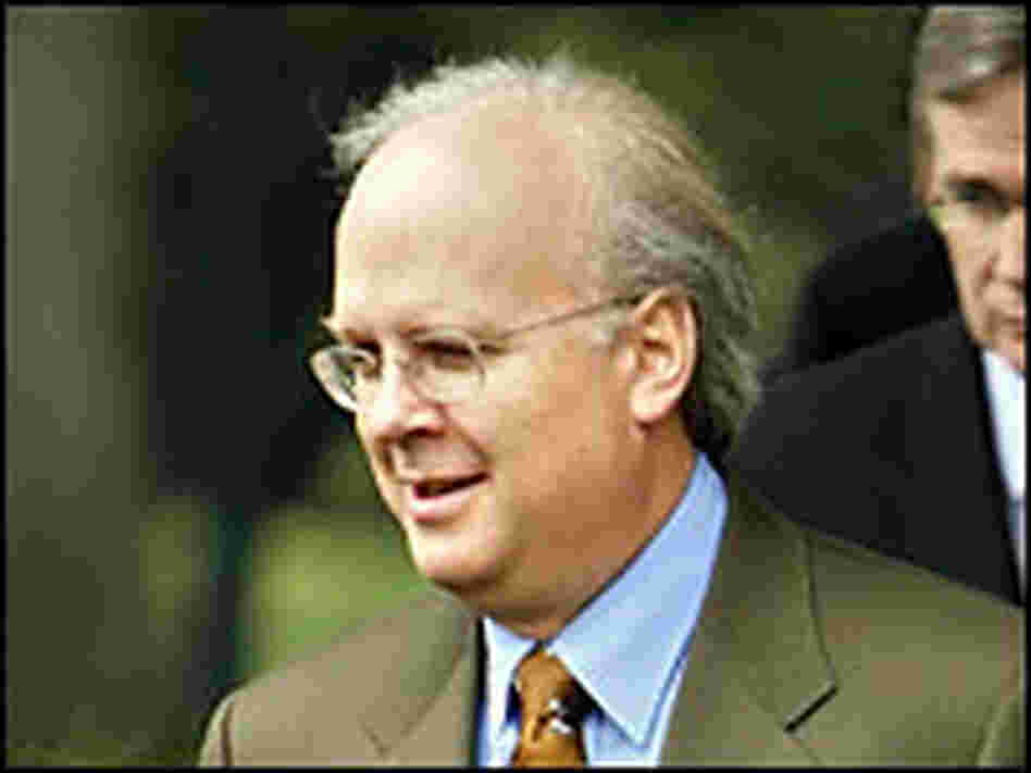 White House Deputy Chief of Staff Karl Rove White House Deputy Chief of Staff Karl Rove
