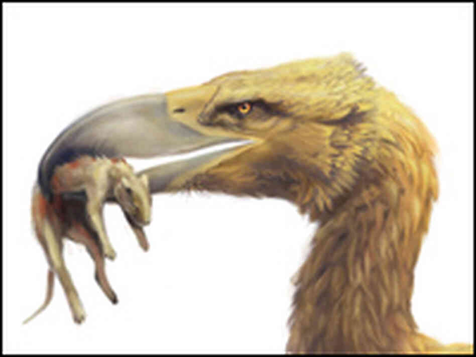 Terror Bird Terror Bird
