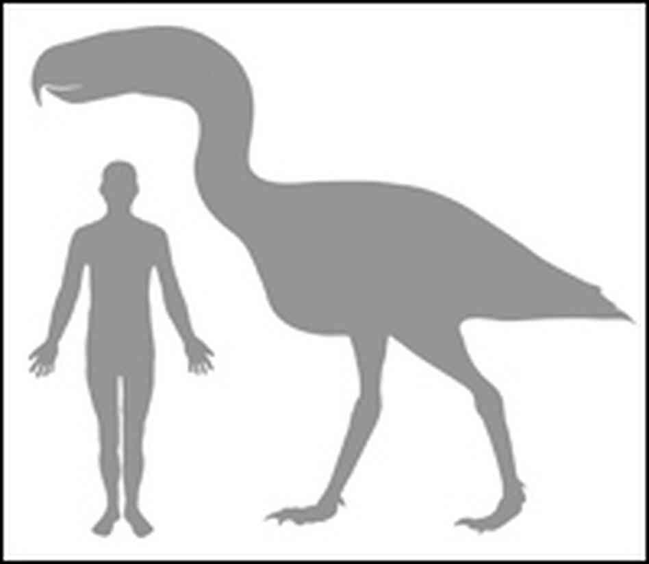 Terror Bird With Man Terror Bird With Man