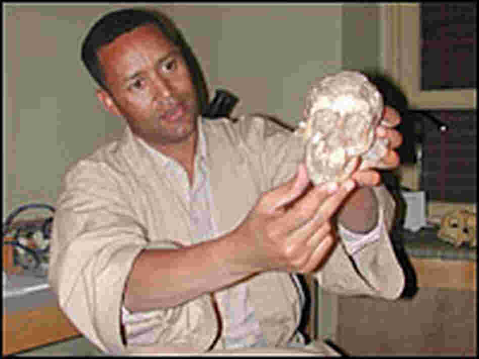 Dr. Zeresenay Alemseged with skull Dr. Zeresenay Alemseged with skull
