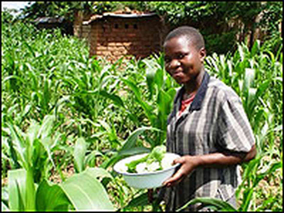 Martha Phiri forages for pumpkin leaves to make a free lunch.
