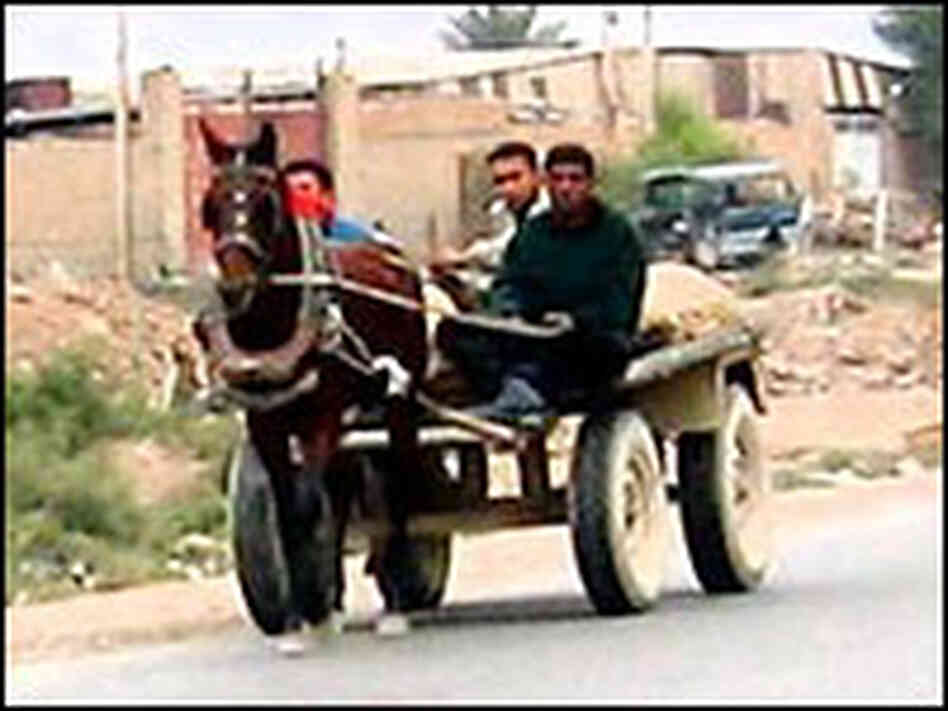 A merchant's cart in Baghdad. A merchant's cart in Baghdad.