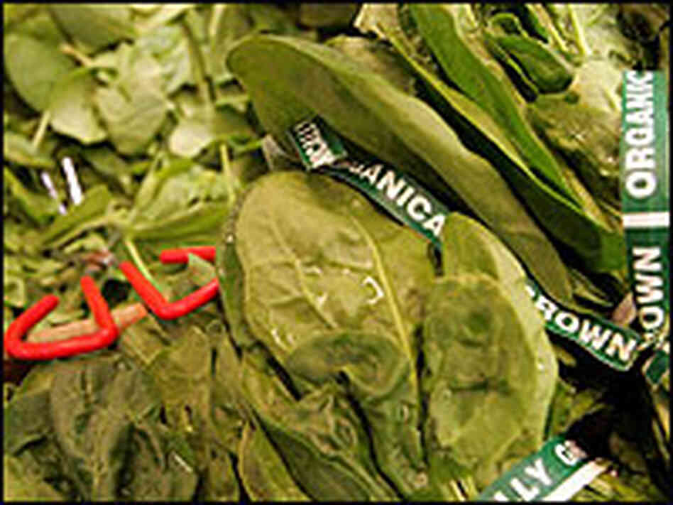 Organic spinach. Organic spinach.