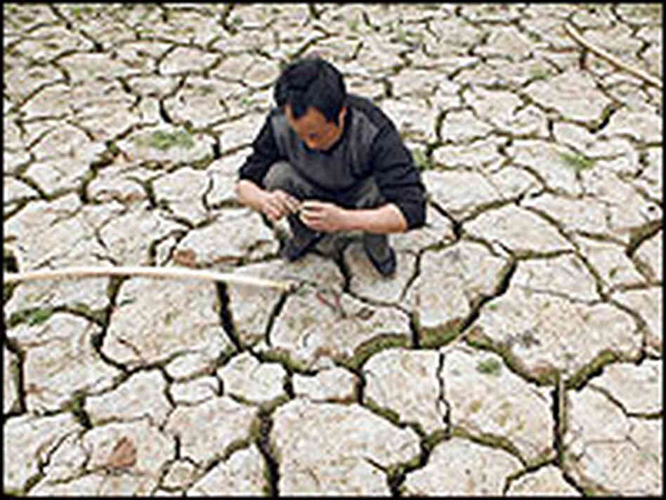 A farmer fixes water pipes which are used to pump water from a reservoir into fields in China. A farmer fixes water pipes which are used to pump water from a reservoir into fields in China.