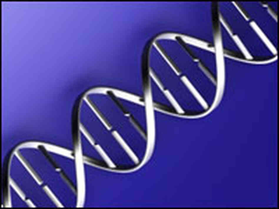 An illustration of DNA strand against a blue background. An illustration of DNA strand against a blue background.
