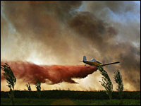 Yoav Lemmer, AFP/Getty Images