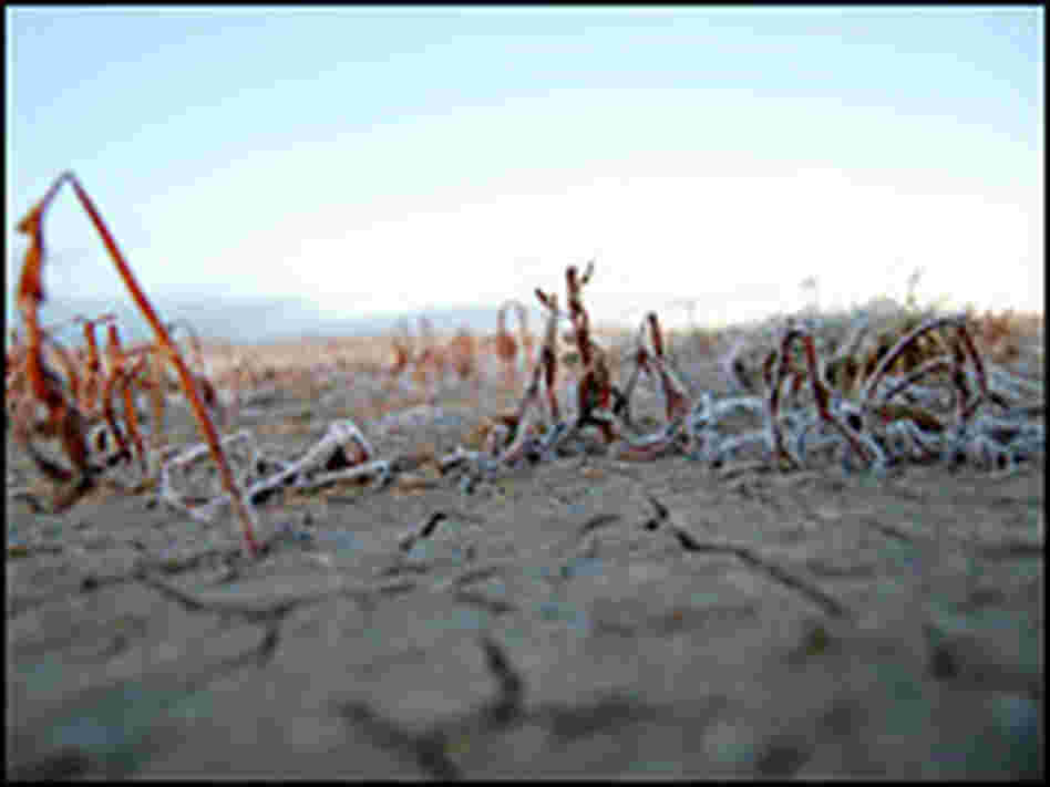 Signs that the Yellow River is running out of water abound.