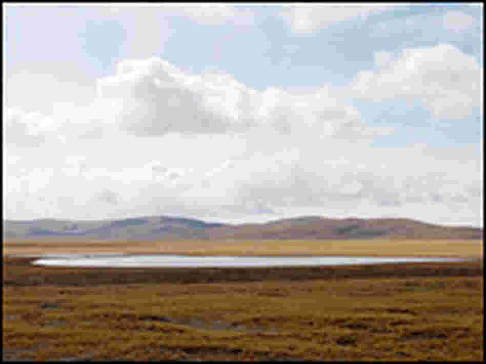 There used to be some 4,000 small lakes such as this one in the Yellow River source area.